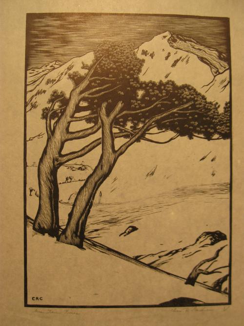 Mountain Pines by Charles Reed Gardner