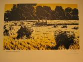 Untitled [Plowing the Fields]