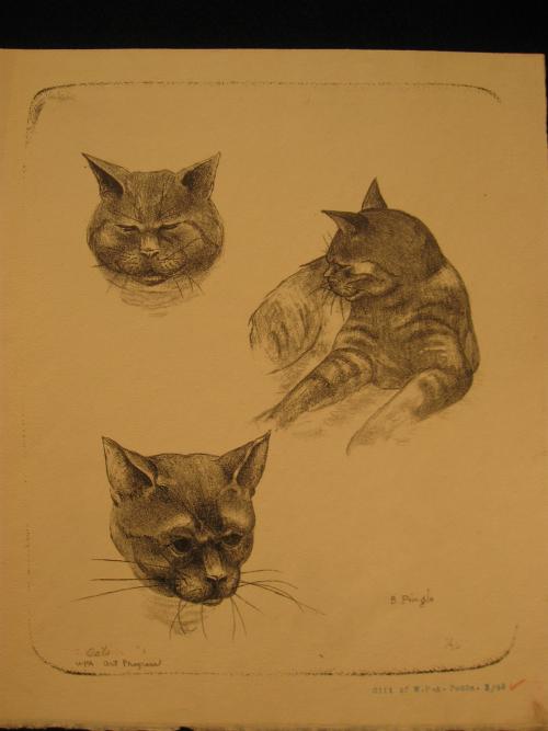 Cats [Exercise #1], edition 1/30 by Bryant Pringle