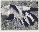 Cement Worker's Glove