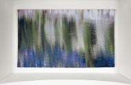 Reflections of Landscape