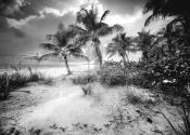 Estero Island by Clyde Butcher