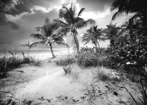 Estero Island by Clyde Butcher