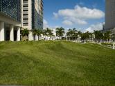 Flutter by Maya Lin