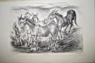 Mules by Chuzo Tamotzu