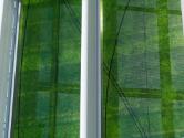 Three Columns by Robert Mangold