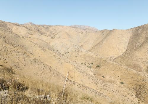 Fenceline, Tecaté Peak, U.S.-Mexico Border/ Línea divisoria en la frontera de Tecate Peak EE.UU. y México by David Taylor