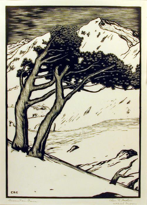 Mountain Pines by Charles Reed Gardner