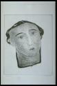 Head