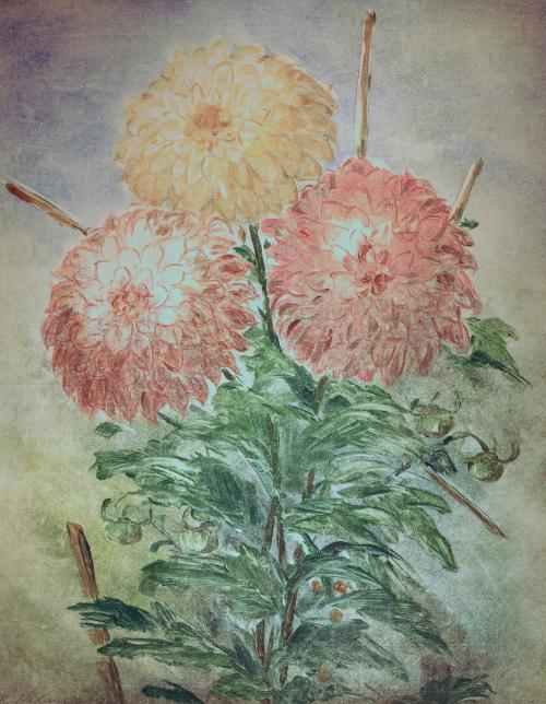 Chrysanthemums by Kikuta H. Nakagawa