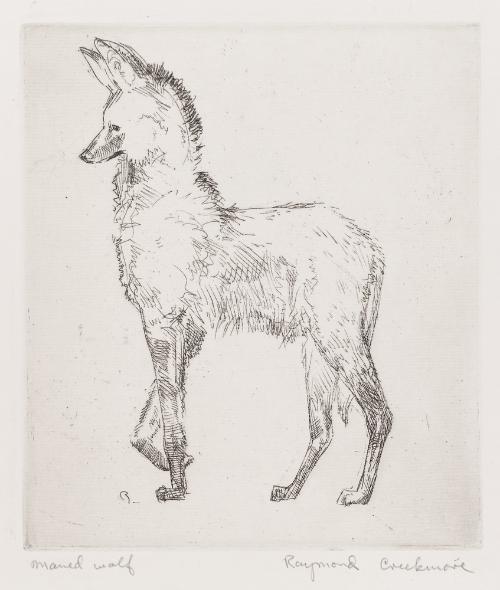 Maned Wolf by Raymond L. Creekmore