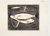 Fish and Anchor (NW Fishing Ind. Series)