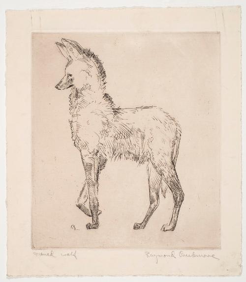 Maned Wolf by Raymond L. Creekmore