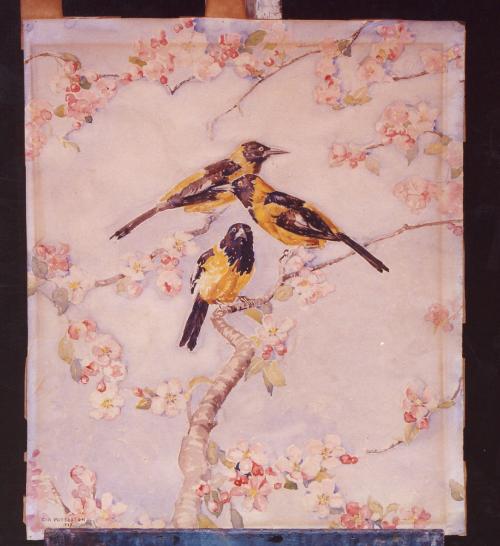 Orioles by Claude A. Patterson