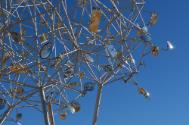 Rodadora Frontera (Border Tumbleweed) by SIMPARCH