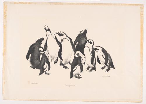 Penguins by Angela Straeter