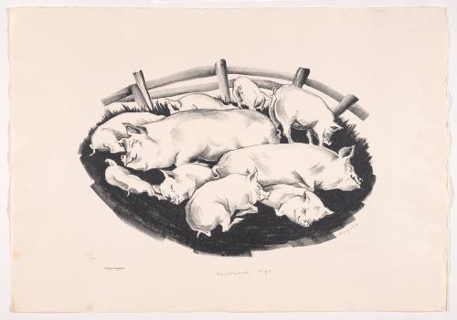 Contented Pigs by Angela Straeter