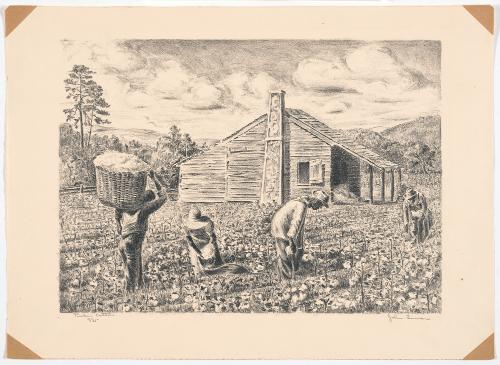 Pickin Cotton by John Turner