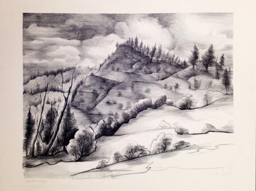 Landscape by Theodore C. Polos