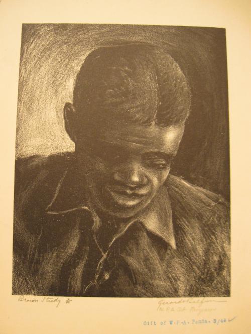 Brown Study by Gerardo Belfiore
