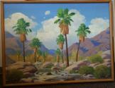 Palms in Palm Canyon (Borrego Springs)