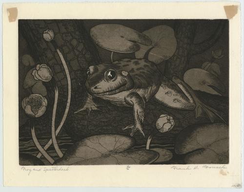 Frog and Spatterdock by Frank Daniel Fousek