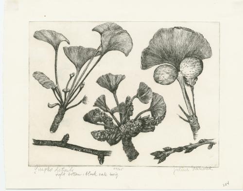 Gingko Details/ Black Oak Twigs by Julius Mihalik