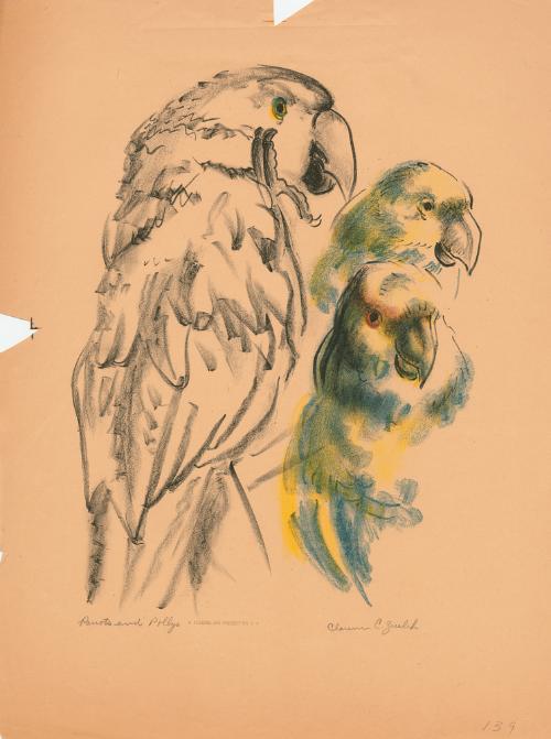 Parrots and Pollys by Clarence Edward Zuelch