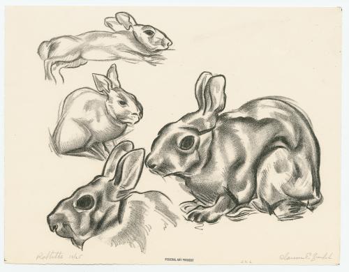 Rabbits by Clarence Edward Zuelch