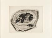 Concord Grapes II