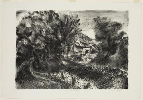 Squash Hollow by Hyman J. Warsager