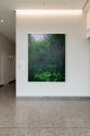 Claire Sherman, Moss and Ferns, 2021, 3rd Floor, Sylvia H. Rambo U.S. Courthouse, Harrisburg, P…