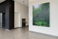Claire Sherman, Moss and Ferns, 2021, 3rd Floor, Sylvia H. Rambo U.S. Courthouse, Harrisburg, P…