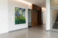 Claire Sherman, Trees and Ferns, 2021, 5th Floor, Sylvia H. Rambo U.S. Courthouse, Harrisburg, …