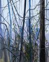Claire Sherman, Trees and Vines, 2021, 7th Floor, Sylvia H. Rambo U.S. Courthouse, Harrisburg, …