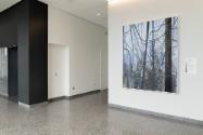 Claire Sherman, Trees and Vines, 2021, 7th Floor, Sylvia H. Rambo U.S. Courthouse, Harrisburg, …