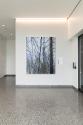 Claire Sherman, Trees and Vines, 2021, 7th Floor, Sylvia H. Rambo U.S. Courthouse, Harrisburg, …