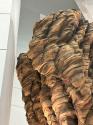 Cedrus by Ursula von Rydingsvard